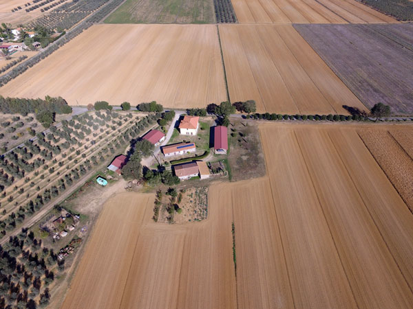 le sughere maremma toscana